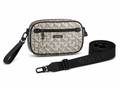 Goyard Silver Mist